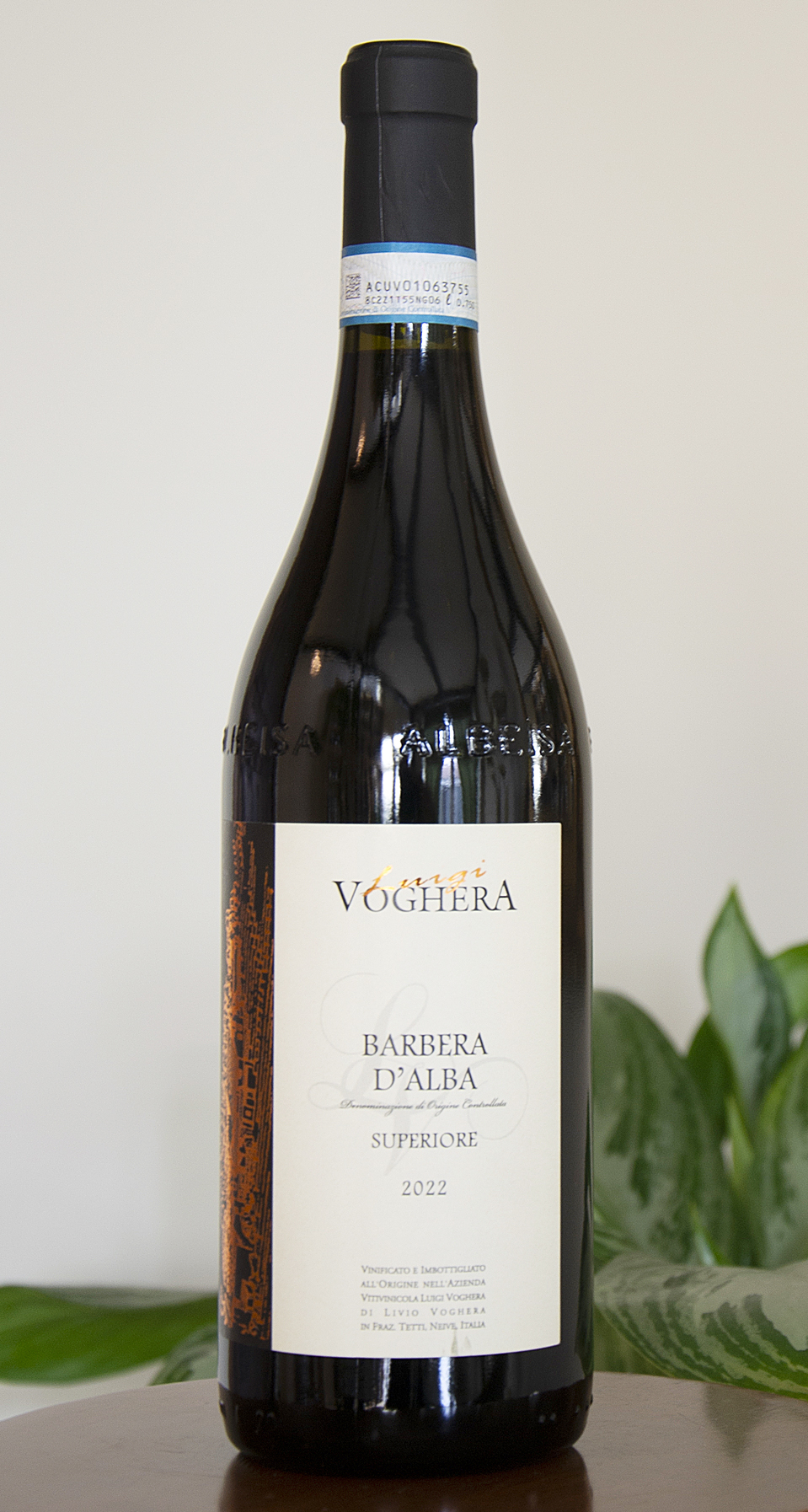 Barbera_Alba_Il_Primo_Frutto_enoteca