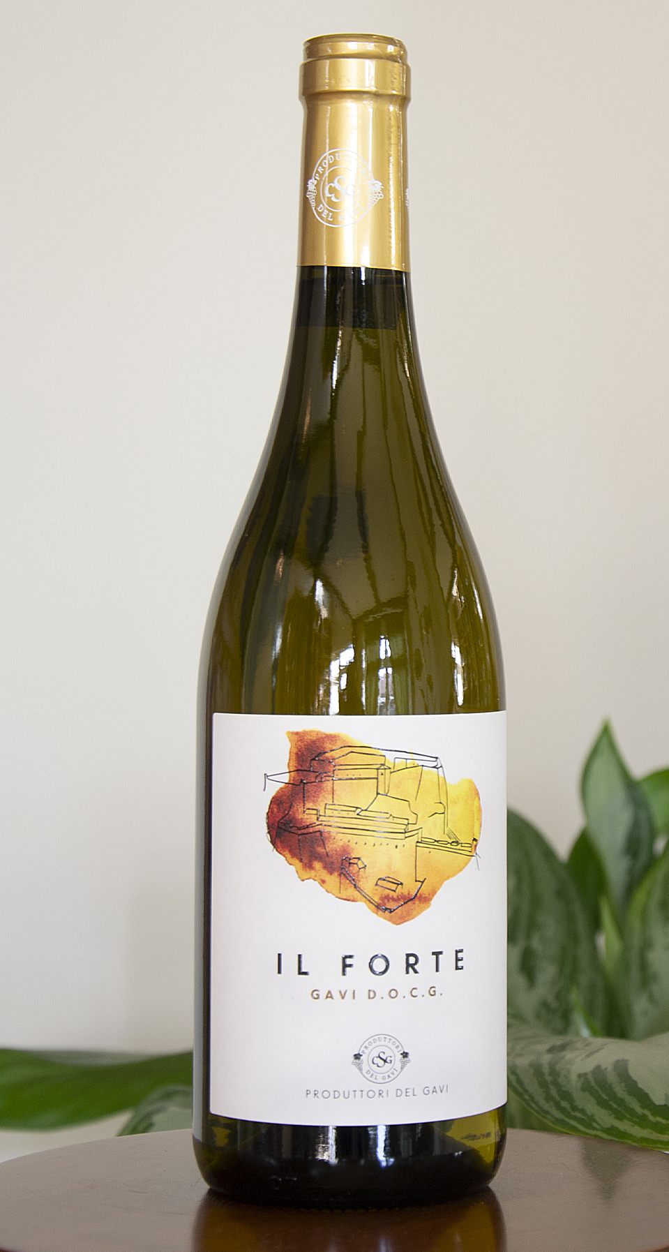 Gavi_Cortese_Il_Primo_Frutto_enoteca