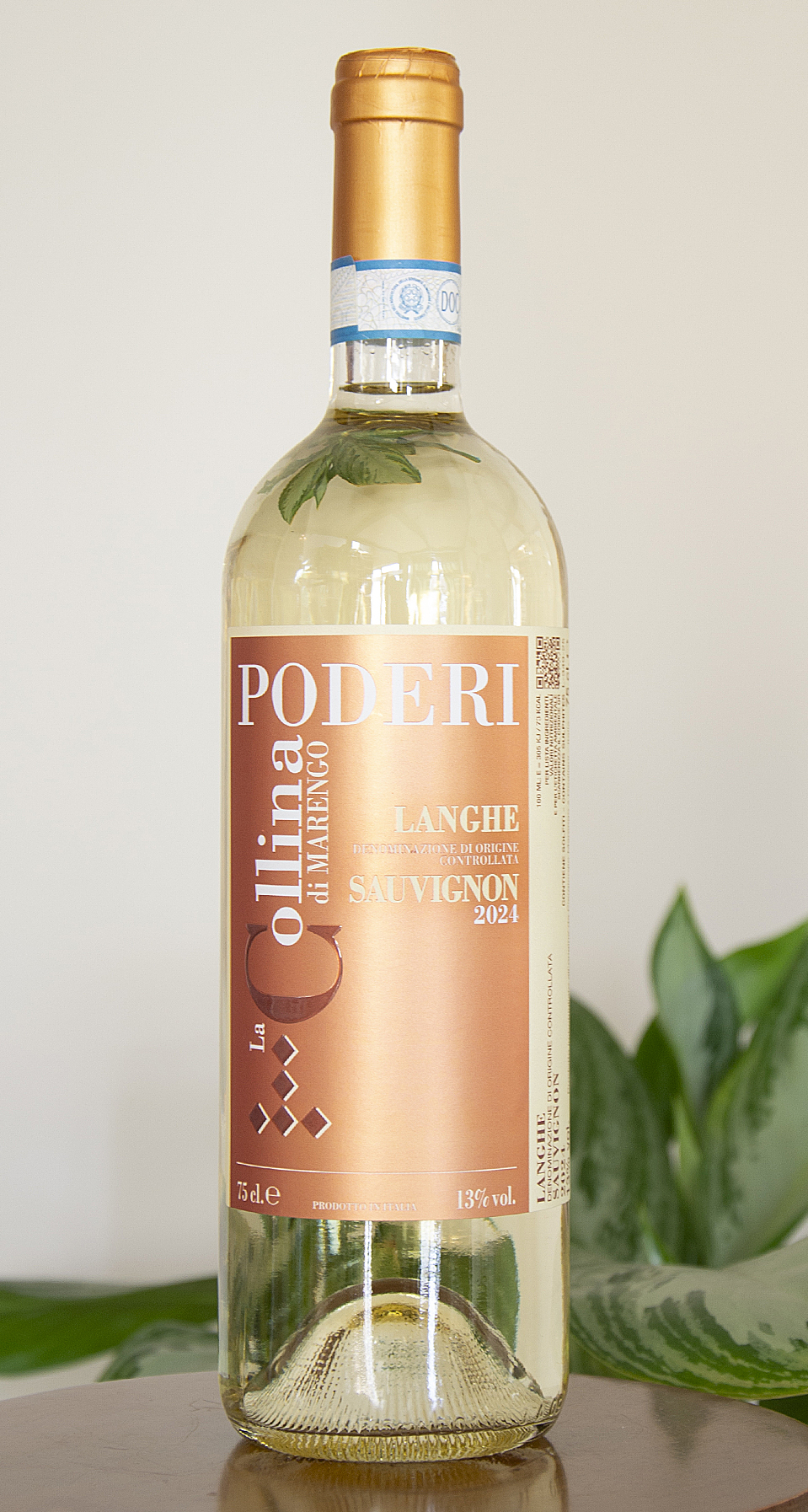 Langhe_Sauvignon_Il_Primo_Frutto_enoteca